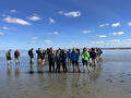 Wadlopen met groep